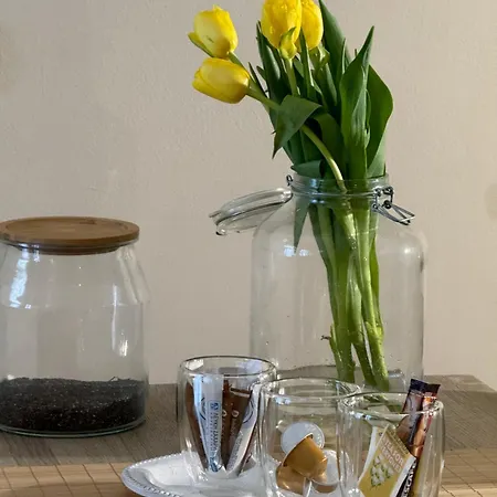 Opora * 에르무폴리